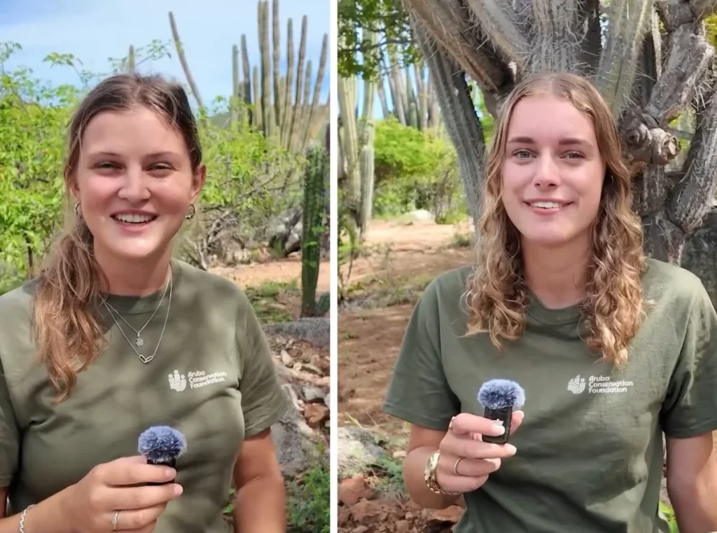 Parke 01 Large 1024x761