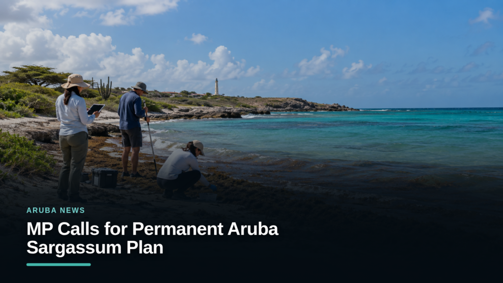 Sargassum response planning for Aruba coast