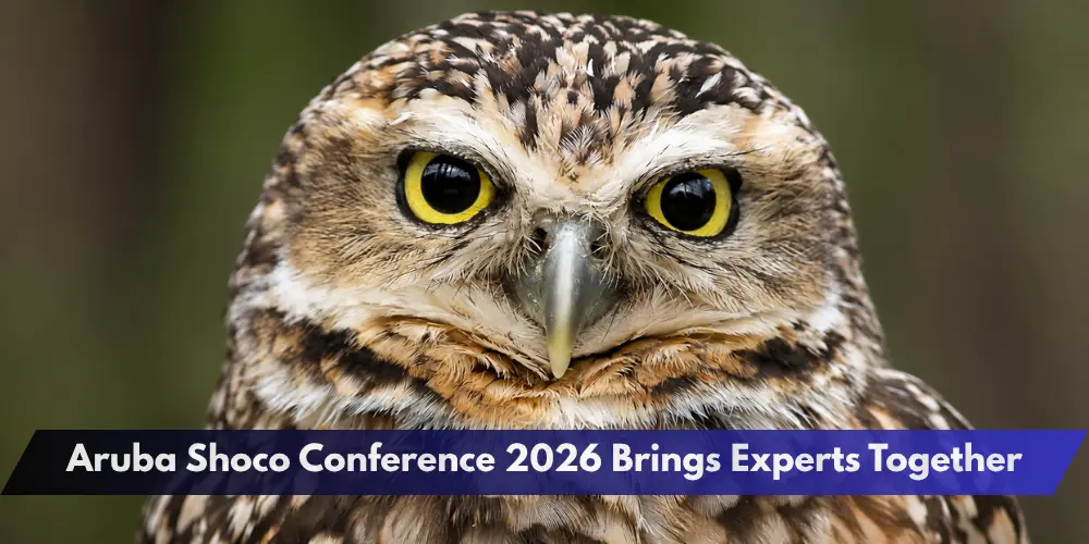 Aruba Shoco Conference 2026 Brings Experts Together